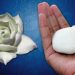 Изделия из холодного фарфора: фото, материал, история, советы