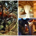 Домик на дереве La Piantata Suite Blue: фото, гостиница, история