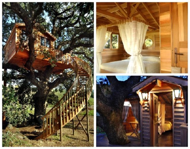 Домик на дереве La Piantata Suite Blue: фото, гостиница, история