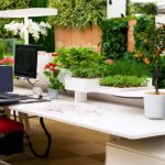 Биоклиматический офис мечты