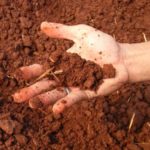 Рекомендации по улучшению почвы садового участка