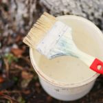 Нужно ли белить деревья: зачем это делают и как?