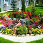 Варианты оформления клумб на дачном участке своими руками