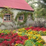 5 идей, как бесплатно облагородить дачный участок