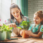 5 растений-защитников вашего сада и огорода