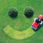 Топ-3 способа сократить расходы на уход за ландшафтом