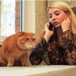 Идеальный вариант квартиры для девушки с двумя котами: просторно питомцам, уютно хозяйке